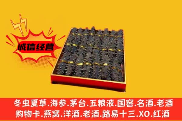 红河县回收海参